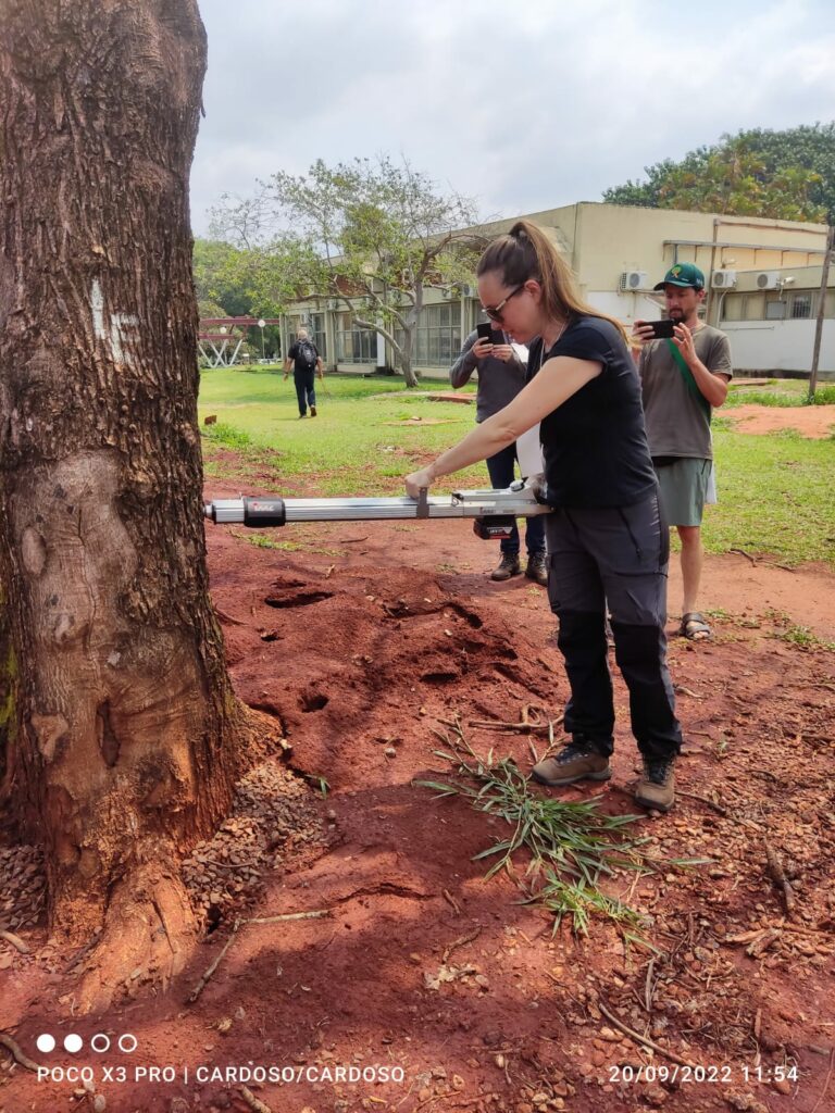 Sema participa de congressos brasileiro e americano sobre Arborização Urbana Sema participa de congressos brasileiro e americano sobre Arborização Urbana