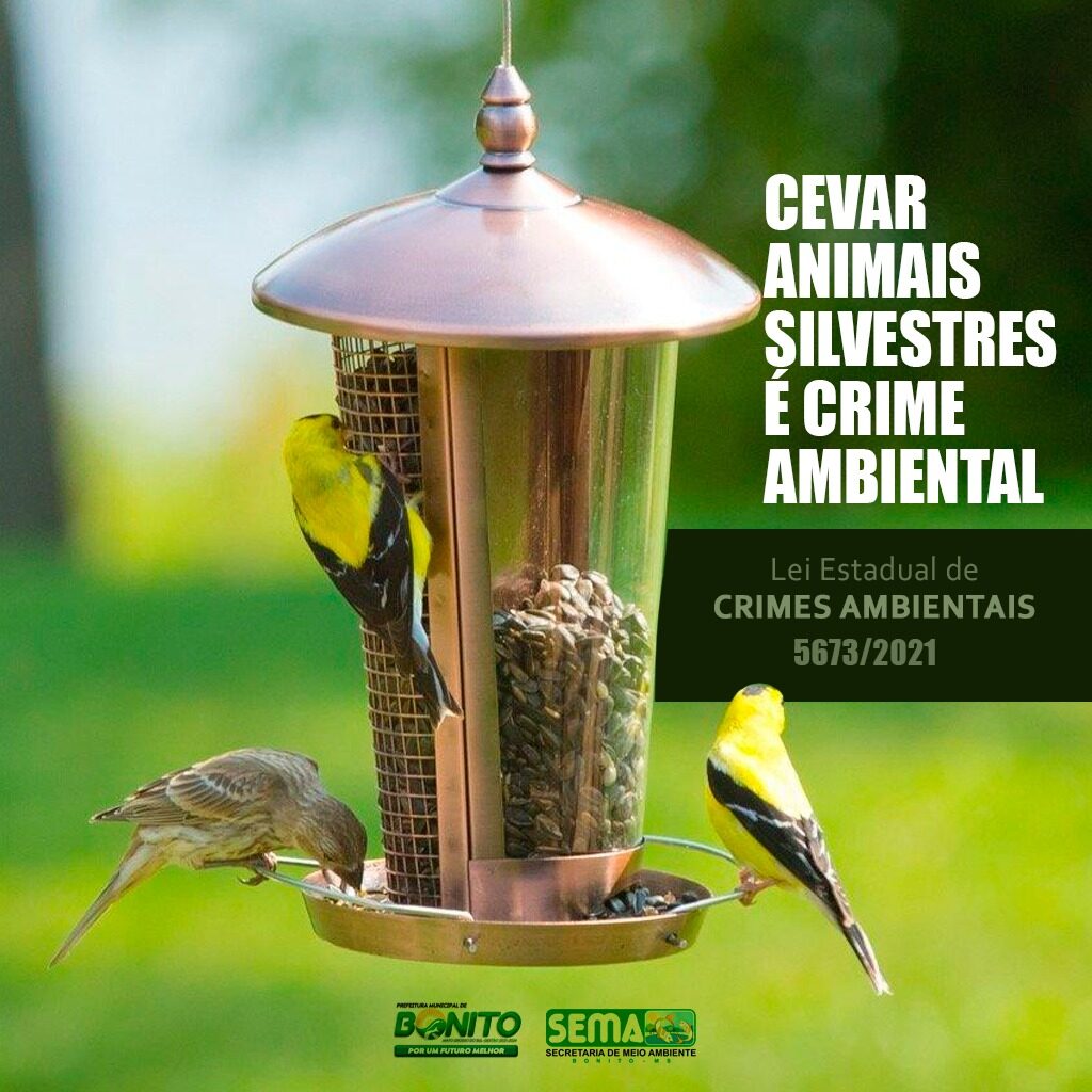 Em Dia Nacional de Defesa da Fauna, Sema alerta para riscos em alimentar animais silvestres Em Dia Nacional de Defesa da Fauna, Sema alerta para riscos em alimentar animais silvestres