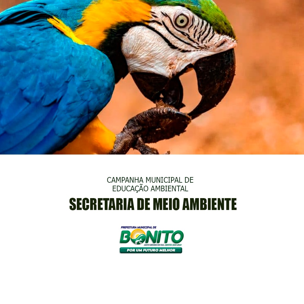 Em Dia Nacional de Defesa da Fauna, Sema alerta para riscos em alimentar animais silvestres Em Dia Nacional de Defesa da Fauna, Sema alerta para riscos em alimentar animais silvestres