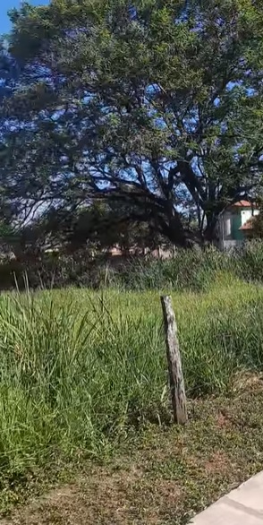 Comunicado sobre limpeza de terrenos particulares em Bonito Comunicado sobre limpeza de terrenos particulares em Bonito