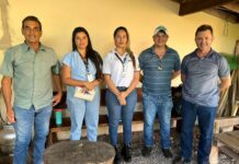 IBGE, Seprodes e produtores finalizam Levantamento Sistemático da Produção Agrícola 2022 e discutem estimativas para 2023