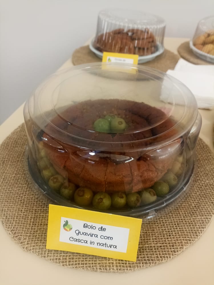 Do plantio ao preparo de alimentos, curso de Cultivo e Manejo da Guavira capacita 14 pessoas em Bonito