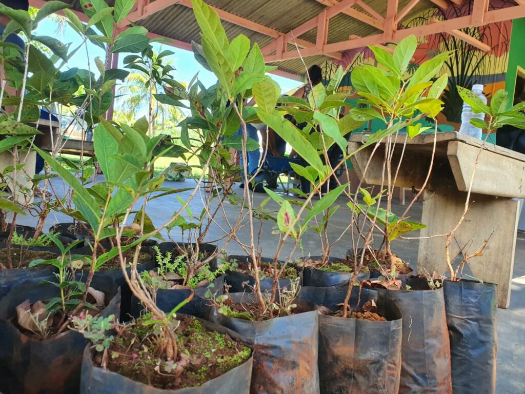 Do plantio ao preparo de alimentos, curso de Cultivo e Manejo da Guavira capacita 14 pessoas em Bonito