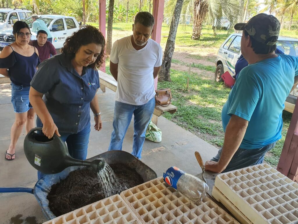 Do plantio ao preparo de alimentos, curso de Cultivo e Manejo da Guavira capacita 14 pessoas em Bonito
