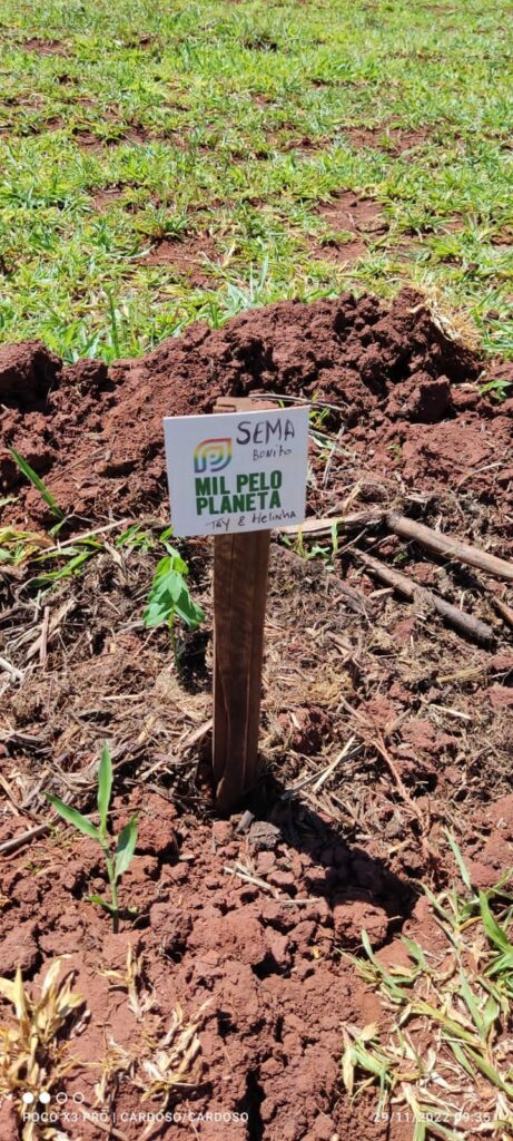 Sema participa de ação de reflorestamento com plantio de 500 mudas de Cumbaru