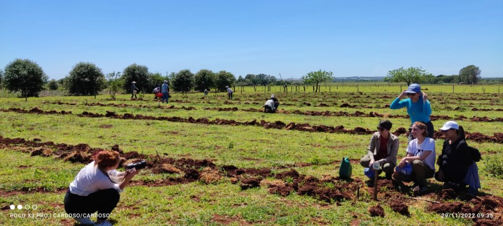 Sema participa de ação de reflorestamento com plantio de 500 mudas de Cumbaru
