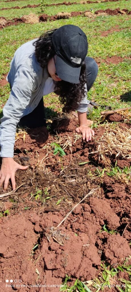 Sema participa de ação de reflorestamento com plantio de 500 mudas de Cumbaru