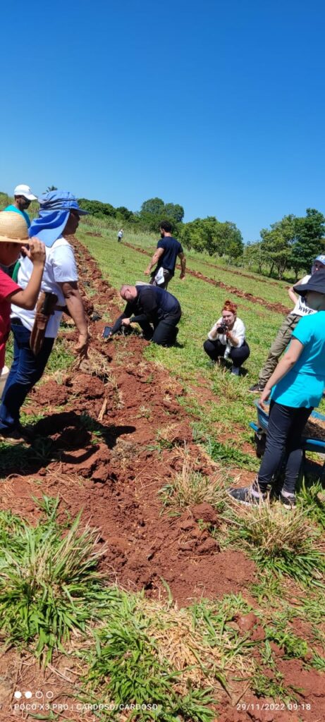 Sema participa de ação de reflorestamento com plantio de 500 mudas de Cumbaru