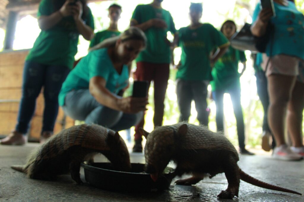 Alunos do Distrito Águas do Miranda participam de visita técnica a projetos ambientais de Bonito