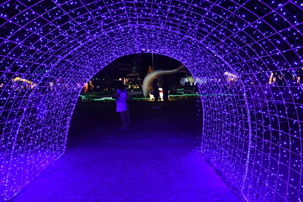 Retrospectiva: carbono neutro, recorde de visitação e retomada de festivais são destaques no Turismo em 2022