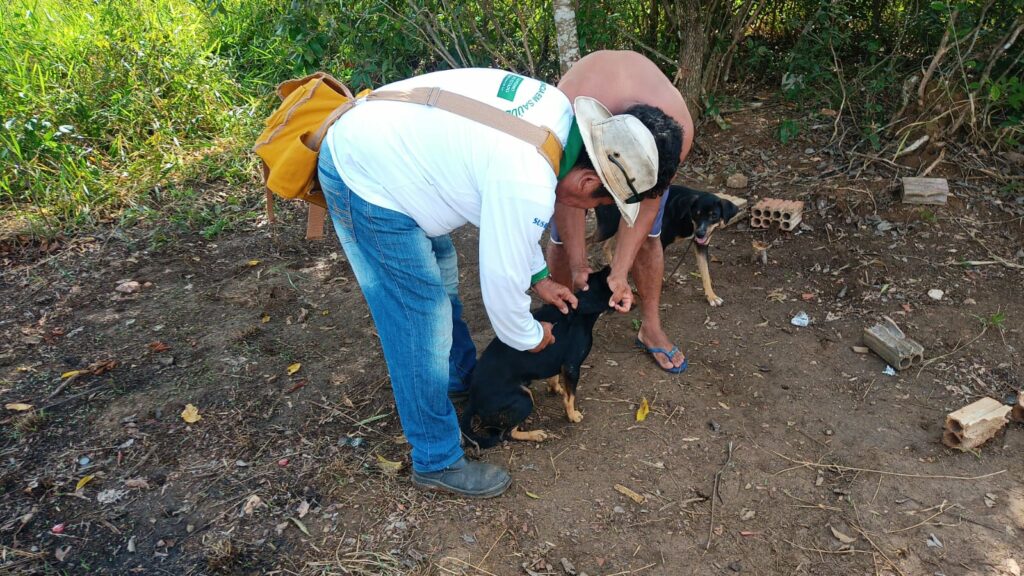 Saúde inicia 'Censo animal' para analisar viabilidade da campanha de vacinação antirrábica a domicílio Saúde inicia 'Censo animal' para analisar viabilidade da campanha de vacinação antirrábica a domicílio
