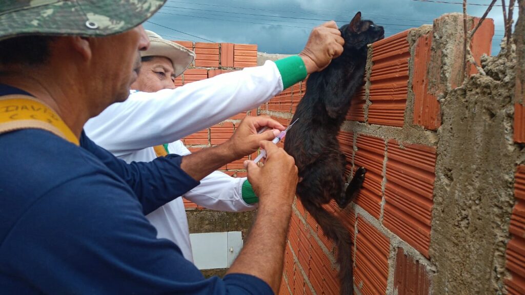 Saúde inicia 'Censo animal' para analisar viabilidade da campanha de vacinação antirrábica a domicílio Saúde inicia 'Censo animal' para analisar viabilidade da campanha de vacinação antirrábica a domicílio