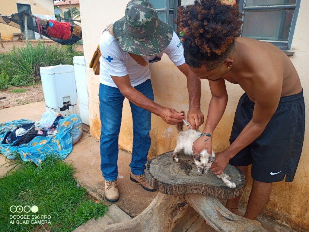 Saúde inicia 'Censo animal' para analisar viabilidade da campanha de vacinação antirrábica a domicílio Saúde inicia 'Censo animal' para analisar viabilidade da campanha de vacinação antirrábica a domicílio