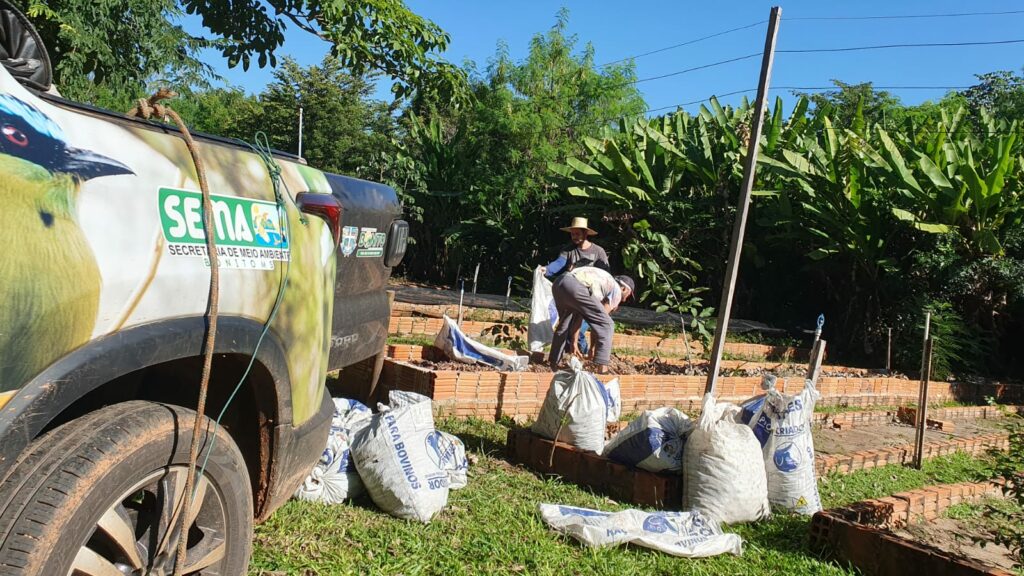 Bonito recebe sementes do Instituto Pantanal Sul e do grupo Florestas Brasil para ações de reflorestamento