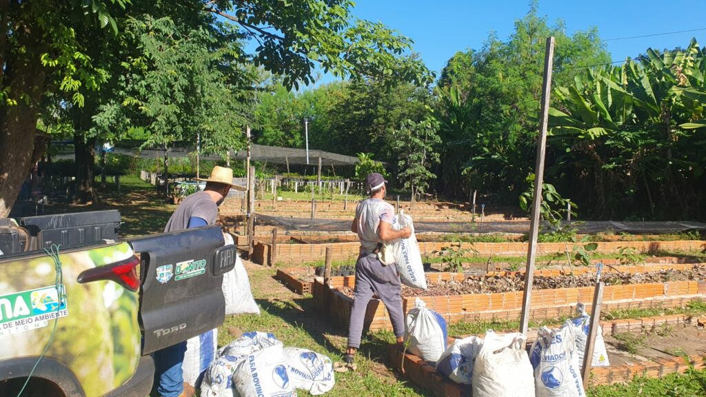 Bonito recebe sementes do Instituto Pantanal Sul e do grupo Florestas Brasil para ações de reflorestamento