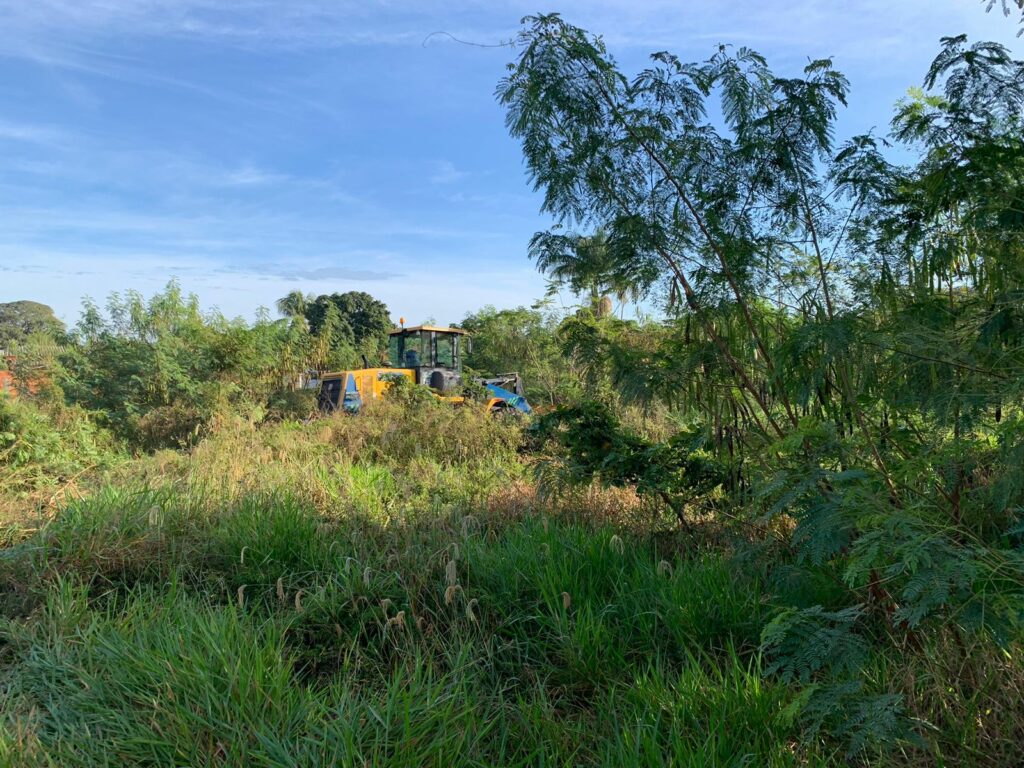 Prefeitura multa proprietário e realiza limpeza de terreno baldio em Bonito Prefeitura multa proprietário e realiza limpeza de terreno baldio em Bonito