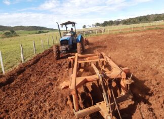 De janeiro a abril, Seprodes já atendeu mais de 40 pequenos produtores Category Template 1