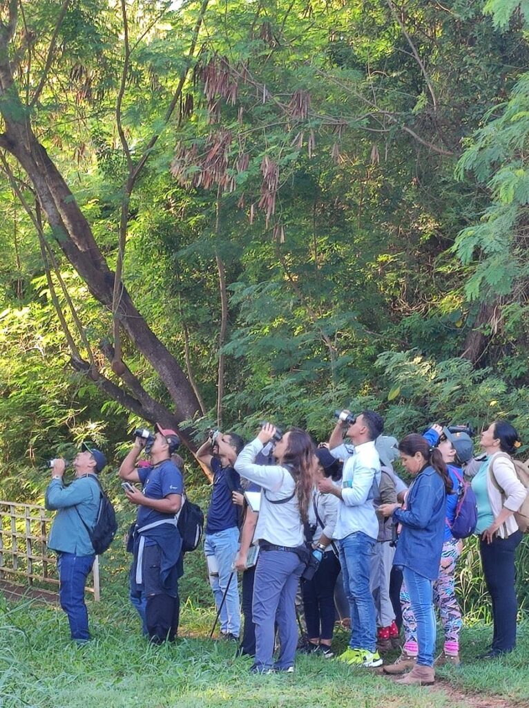 Curso em Técnicas de Observação e Identificação de Aves conta com 22 participantes em Bonito Curso em Técnicas de Observação e Identificação de Aves conta com 22 participantes em Bonito