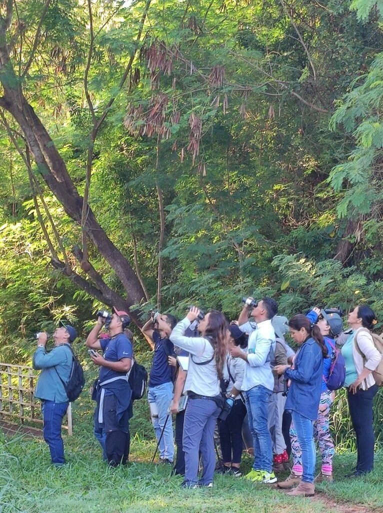 Curso em Técnicas de Observação e Identificação de Aves conta com 22 participantes em Bonito