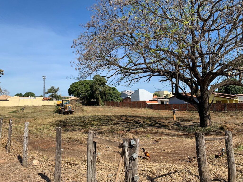 Prefeitura multa proprietário e realiza limpeza de terreno baldio em Bonito