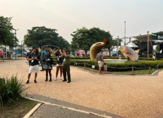 Encontro Internacional de Observação de Aves fortalece o segmento e motiva o prática em Bonito Category Template 1