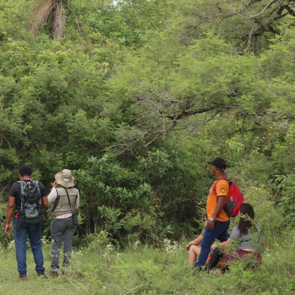 Sectur oferece curso introdutório de bioacústica e sonorização de aves para o turismo