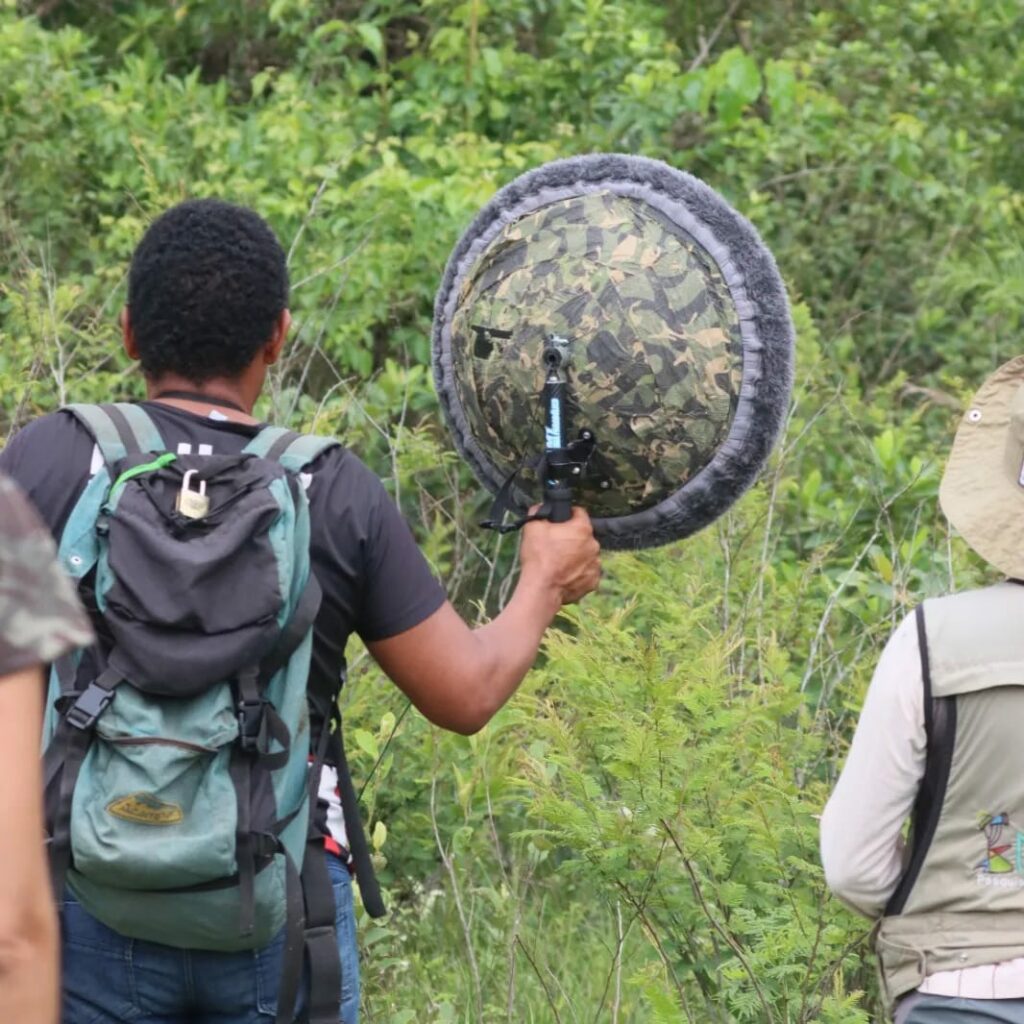 Sectur oferece curso introdutório de bioacústica e sonorização de aves para o turismo