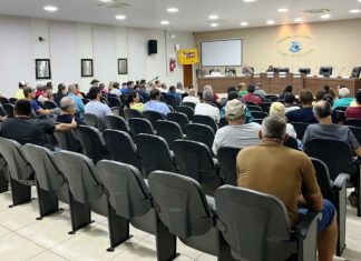 Prefeitura, moradores e proprietários definem TAC de regularização do loteamento ‘Palmeira Velha’ Category Template 1