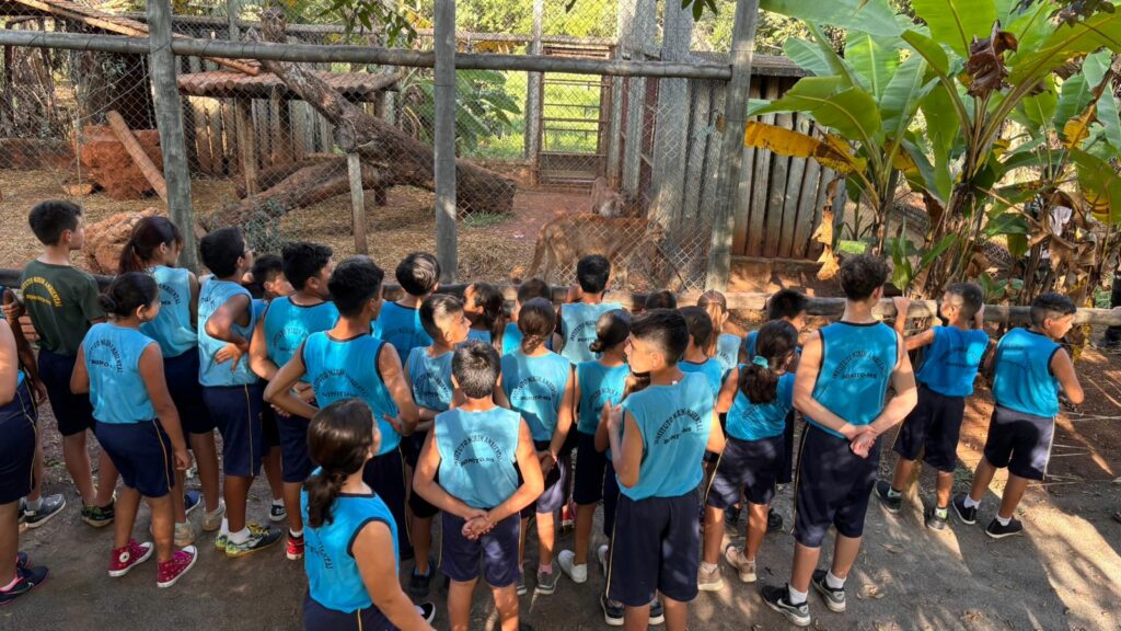 Bonito celebra o Meio Ambiente com educação e contato com a natureza