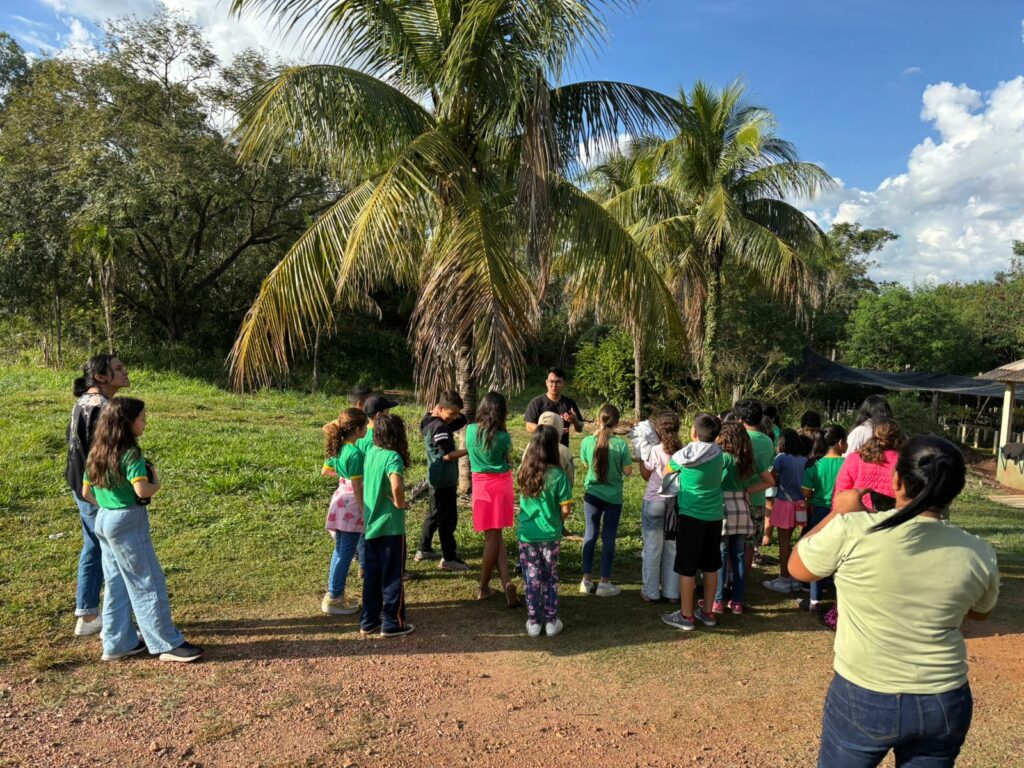 Bonito celebra o Meio Ambiente com educação e contato com a natureza