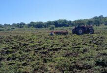 Em maio, Seprodes atendeu 23 pequenos produtores e alcançou 25 hectares trabalhados