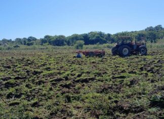 Em maio, Seprodes atendeu 23 pequenos produtores e alcançou 25 hectares trabalhados Category Template 1