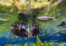 Bonito recebeu mais de 220 mil turistas entre janeiro e setembro