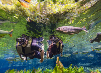 Bonito recebeu mais de 220 mil turistas entre janeiro e setembro Category Template 1