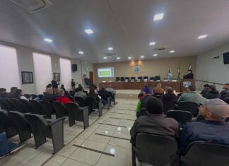 Prefeitura de Bonito participa de encontro técnico sobre arborização urbana e segurança no fornecimento de energia elétrica Category Template 1