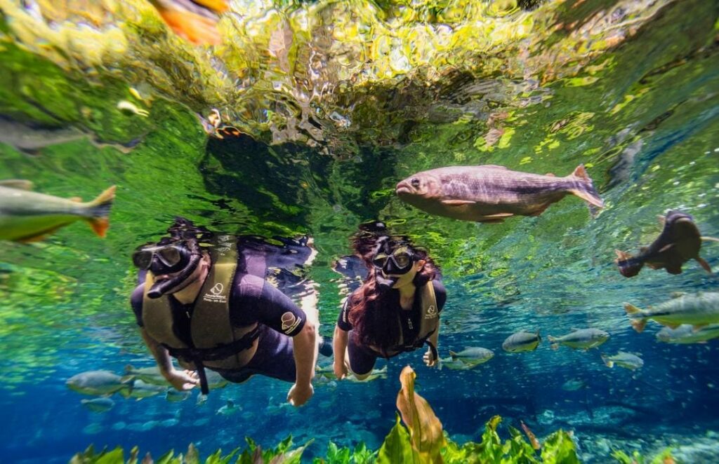 Bonito é o melhor destino de ecoturismo para os paulistanos, diz Datafolha Bonito é o melhor destino de ecoturismo para os paulistanos, diz Datafolha