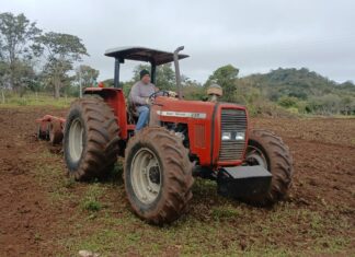Seprodes atendeu 15 propriedades e beneficiou 20,5 hectares em junho Category Template 1