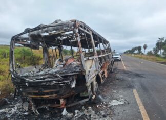 Prefeitura de Bonito esclarece incêndio em ônibus escolar na rodovia MS-178 Category Template 1