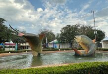 Festival de Inverno de Bonito 2025 começa nesta quarta-feira com shows de Elba Ramalho e Maestro Spok