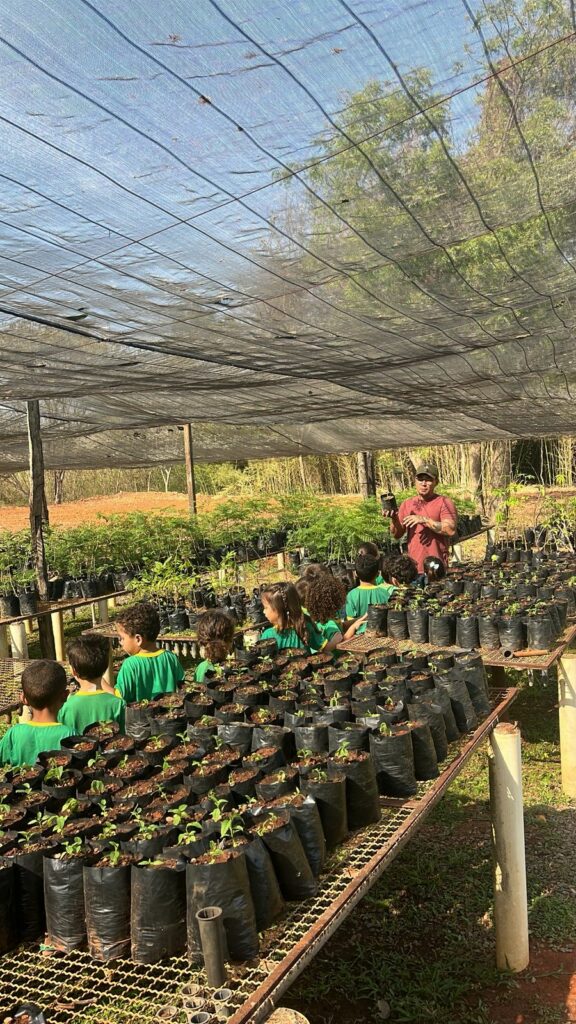 Bonito celebra o Dia da Árvore com atividades educativas e seminário técnico