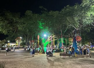 FLIB 2025: confira as atrações do fim de semana Category Template 1