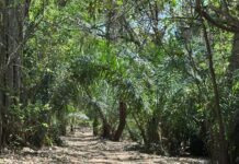 Prefeitura de Bonito pede colaboração da população para preservar a Rota Boiadeira