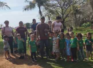 Bonito celebra o Dia da Árvore com atividades educativas e seminário técnico Category Template 1