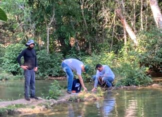Bonito avança em estudo ambiental na Bacia do Rio Formoso Secretaria de Meio Ambiente