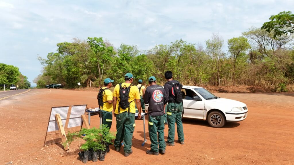 Secretaria de Meio Ambiente de Bonito apoia ação do Prevfogo/IBAMA de recuperação ambiental em Miranda