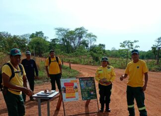 Secretaria de Meio Ambiente de Bonito apoia ação do Prevfogo/IBAMA de recuperação ambiental em Miranda Gestão na Mídia