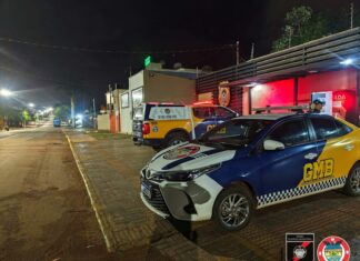 Guarda Municipal de Bonito apreende jovens após ato de vandalismo em canteiro da rodovia que liga ao Balneário Municipal Category Template 1