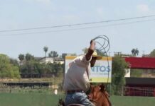 Retrospectiva 2025 – Cultura: projetos, tradições e fortalecimento artístico