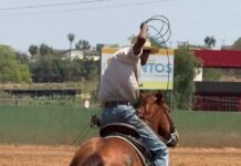 Retrospectiva 2025 – Cultura: projetos, tradições e fortalecimento artístico