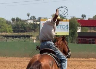 Retrospectiva 2025 – Cultura: projetos, tradições e fortalecimento artístico Category Template 1